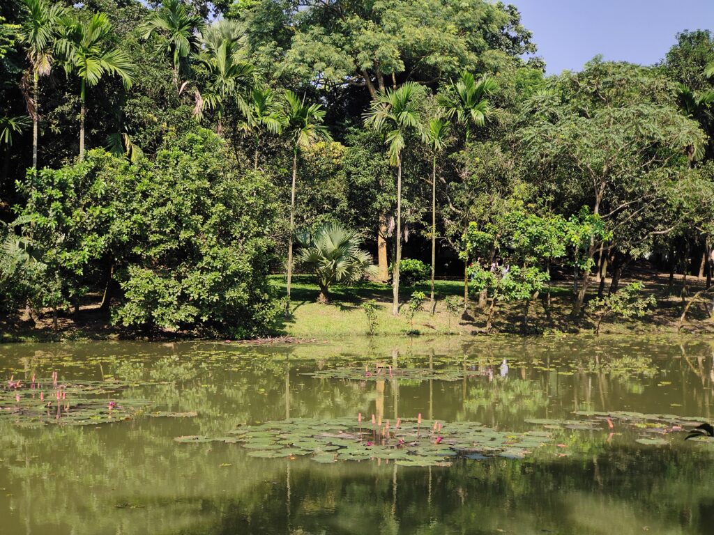 জিন্দা-পার্ক-এর-প্রকৃতি