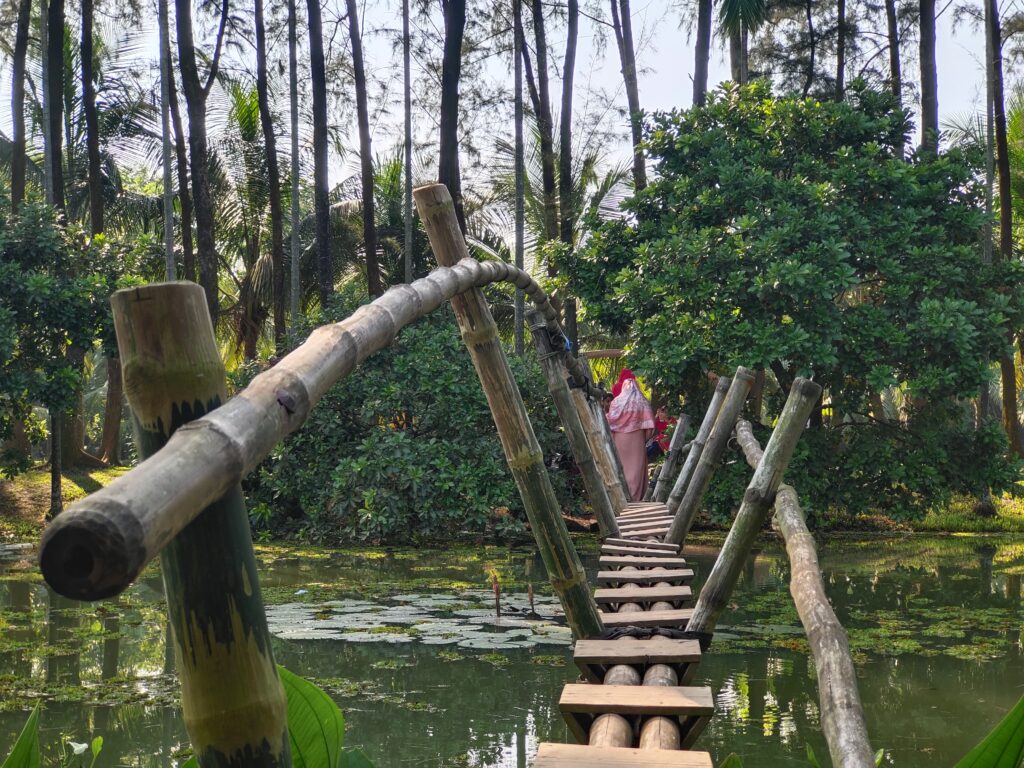 জিন্দা-পার্ক-এর-বাশের-সাকো